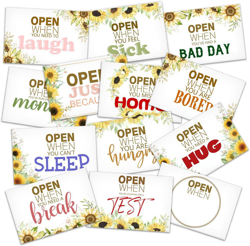Open When You Letters Kit, Open When Envelopes with Sunflower, University Student Go to School Handmade Gift, Leaving Home Present College or High...