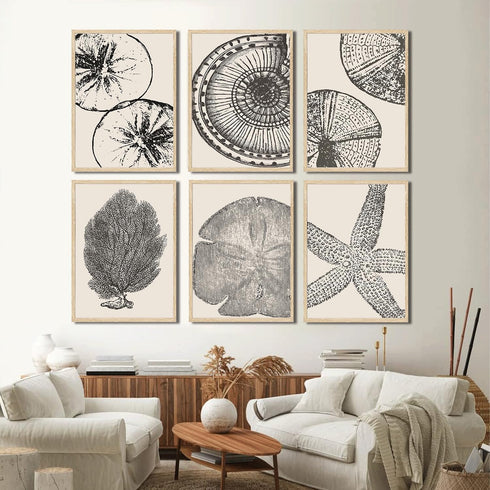 WYHLMTQ 6Pcs Boho Beach Coastal Posters Canvas Wall Art Modern Abstract Painting Shell Pictures Prints Wall Decor Beach Gallery Artwork for Beach ...
