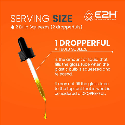 E2H Liquid Turmeric Curcumin for Better Absortion - Natural Joint Support - Turmeric Root Extract with Black Pepper Seed - Boost Your Health - Veg...