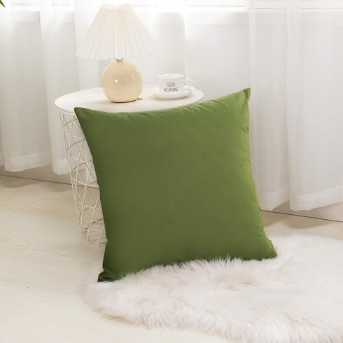 Elegant Comfort Velvet Cushion Covers Pack of 2, Velvet Soft Solid Decorative Square Throw Pillow Covers Set Cushion Case for Sofa Bedroom Car 18 ...