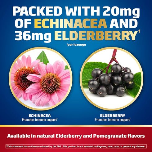 Defend-EEZE Immune Support Dietary Supplement Lozenges, 100% Daily Value of Zinc, Vitamins C & D per Dose, with Echinacea & Elderberry, Elderberry...