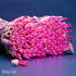 200 Pink LED Christmas Lights with Pink Wire, Pack of 2 Sets 33 ft 100 Count UL Certified Commercial Grade String Light...