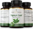 Florida Herbal Pharmacy, Papaya Leaf Extract Capsules 10:1 (120 Capsules)...