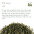 Dill Organic Quality Gourmet Herb - Perfect For Garnishing Exquisite Dishes - Organic Dill Dried Dil Herb Dried Dill Herb Dill Dry Organic Dry Dil...
