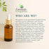 Dr Joe Lab Apricot Kernel Oil - Cold Pressed Pure Natural Moisturizing for Hair and Skin (8 oz)...