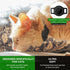 Tile Sticker Cat Collar Holder: The Smallest, Lightest, and Most Comfortable Tracking Case for Cats - Track Your Pet With iPhone Samsung Android D...