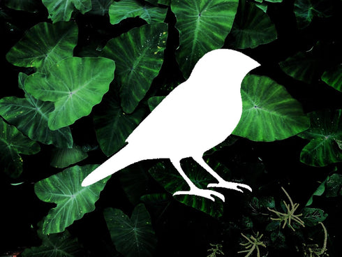 Finch Style Design Stencil, 4-Inch, Reusable Mylar Cutout for Art, Crafts & DIY Projects...