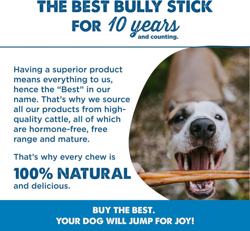 Best Bully Sticks 2-4 Inch Junior Bully Sticks for Dogs - 100% Natural, Grass-Fed Beef, Dog Bully Sticks for Small Dogs, Puppy, Mini Breeds - Grai...