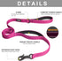 Fida 6 FT Heavy Duty Dog Leash with 2 Comfortable Padded Handles, Traffic Handle & Advanced Easy Snap Hook, Reflective Walking Lead for Large, Med...