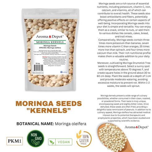 4 oz. Moringa Seeds KERNEL Shelled Clean 100% Natural, Raw Superfood Nutritional, Rich in Vitamins, Edible Seeds, Protein, Minerals, Potassium. (A...