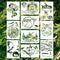Animal Stencils for Painting, 10 PCS Reusable Forest Wildlife Drawing Template DIY Stencils for Painting on Wood Wall Card Rock Decor...