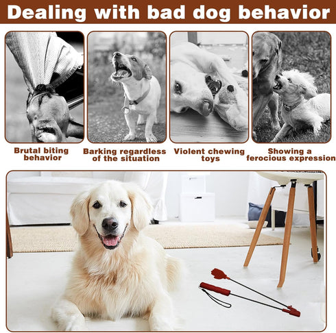 CANIPHA Silicone Puppy Training Tools, Foldable and Easy to Carry Dog Training Tool, Dog Accessories Agility Training Equipment for Dogs, Puppy Tr...