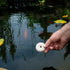 Mosquito Dunks 102-12 Mosquito Killer for Bird,Fish, 2 Pack...