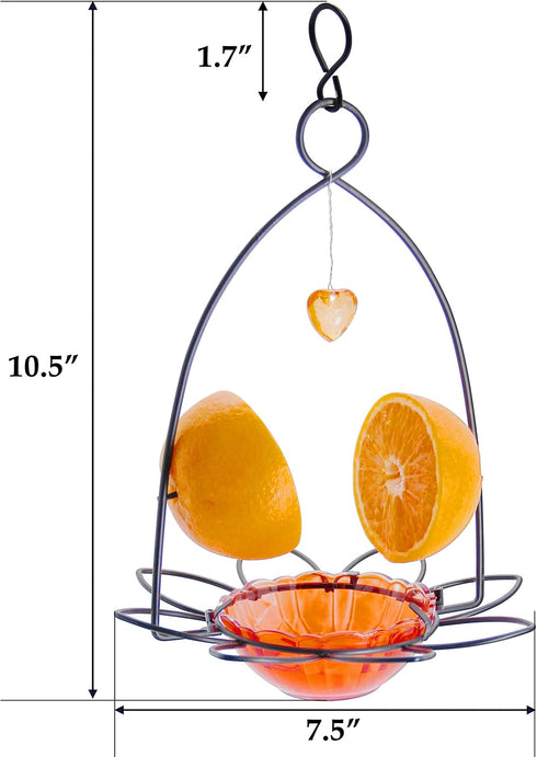 FORUP Oriole Bird Feeder, Orange Fruit Oriole feeder...