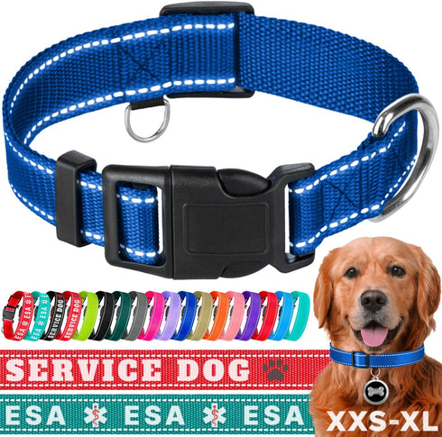 TECEUM Reflective Pet Collar – Navy blue – L – Basic Nylon Dog Collar – Quick Release Buckle – Fits Small, Medium and Large Dogs, Puppies, Cats – ...