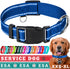TECEUM Reflective Pet Collar – Navy blue – L – Basic Nylon Dog Collar – Quick Release Buckle – Fits Small, Medium and Large Dogs, Puppies, Cats – ...