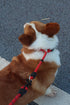 LOS ANDES Dog Slip Collar, No Pull Choker Collar for Dogs, Slip Collars with Slidable Stopper, Dog Training Collar Martingale Collar for Small Med...