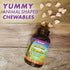Bluebonnet Nutrition Rainforest Animalz Vitamin C Animal Shape Chewable Tablets, 250mg of Vitamin C, Soy-Free, Gluten-Free, Kosher Certified, Dair...