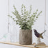 36pcs Artificial Eucalyptus Leaves Stems Real Grey Green Touch Leaf Branches for Home Office Flowers Bouquet Centerpiece Wedding Decoration...