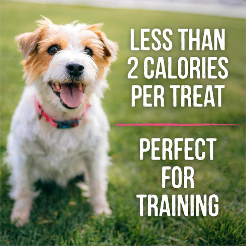 Merrick Lil’ Plates Grain Free Small Dog Treats, Natural Training Treats For Small Dogs, Small Salmon Recipe - 5 oz. Pouch...
