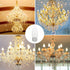 HOLA LED Chandelier Bulb Dimmable LED Lamp Bulb E26 Base, 360 Beam Angle UL Listed Cool White 4000K LED Filament Bulb, Frosted Glass, 6 Pack...