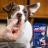 Covetrus Nutrisential Lean Treats for Dogs - Soft Dog Treats for Small, Medium & Large Dogs - Nutritional Low Fat Bite Size K9 Treats - Chicken Fl...