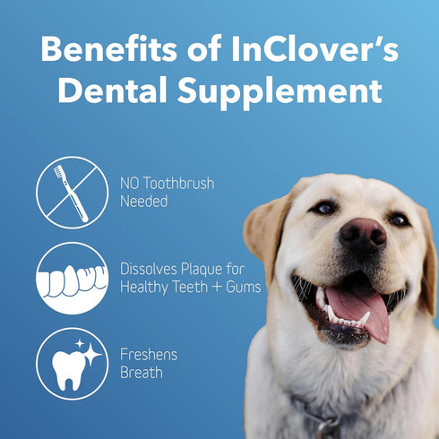 In Clover Dental Health Powder for Dogs and Cats, Natural Pet Supplement, BioBrilliant Dog and Cat Teeth Treat, Helps Dental Health, Daily Supplem...