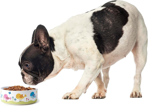 PetRageous 17011 Early Bird Stoneware Dishwasher Safe Cat Bowl with 2-Cup Capacity 5-Inch Diameter 2-Inch Tall for Small Cats or Large Cats, White...