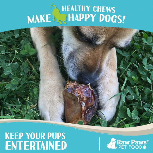 Raw Paws Smoked Beef Kneecaps for Dogs, 5-ct - Packed in USA - Free Range, Antibiotic Free - Beef Knee Cap Bones for Dogs - Smoked Beef Bones - Do...