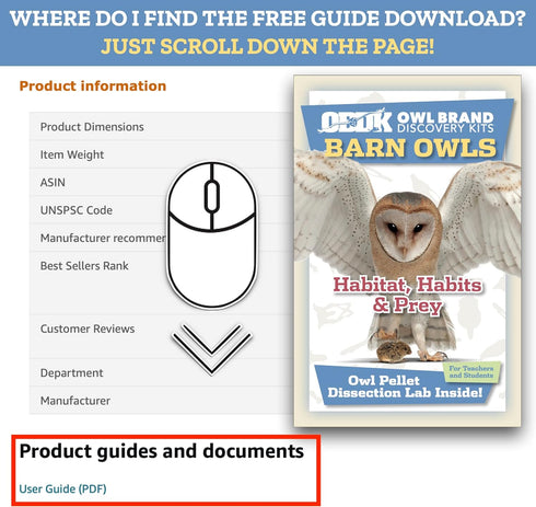 Barn Owl Pellet (Small 1.0-1.5") 1 Pack Kit for Science Teachers and Kids and Students includes Tools & Chart...
