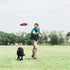 ChuckIt! Fetch Flight Dog Toy...