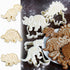 Dinosaur Cookie Cutters for Kids By Garloy,3 Sets Dino Cookie Cutters With T-Rex Stegosaurus Triceratops Skeleton Fossil...