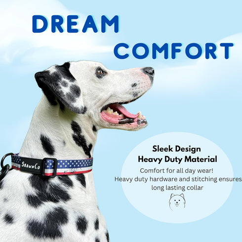 ShawnCo Dream Walk Dog Collar- Premium, Adjustable and Comfortable Pet Collar for Small, Medium, Large and Extra Large Dogs (S, Oceanic Blue)...