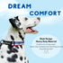 ShawnCo Dream Walk Dog Collar- Premium, Adjustable and Comfortable Pet Collar for Small, Medium, Large and Extra Large Dogs (S, Oceanic Blue)...