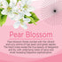 Citrus Magic Limited Edition Odor Eliminating Air Freshener Spray, Pear Blossom, 3-Ounce, Pack of 3...