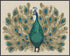 Posterizer 1 pcs- Beautiful peacock with pretty feathers-Art for Animal Lovers- Gift for Men Women Entrepreneur Teens-Decor for Home & Office- unf...