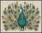 Posterizer 1 pcs- Beautiful peacock with pretty feathers-Art for Animal Lovers- Gift for Men Women Entrepreneur Teens-Decor for Home & Office- unf...