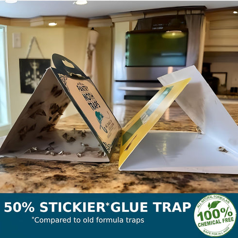 2024 All-New Moth Traps - Multi 4 Pack Bundle (2 Pantry and 2 Clothes) Magic Moth Catch, Safe & Odor-Free Protect Kitchen, Wardrobe, Closet...