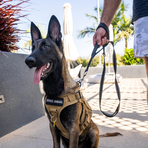 Shed Defender 5 ft. Standard Dog Leash - Three Padded Traffic Handles, Designed in The USA, Dual Layered Thickness Heavy Duty, Reflective Stitchin...