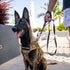 Shed Defender 5 ft. Standard Dog Leash - Three Padded Traffic Handles, Designed in The USA, Dual Layered Thickness Heavy Duty, Reflective Stitchin...