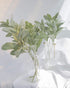 SUUKI Faux Lambs Ear Stems 5Pcs Flocked Artificial Greenery Solid Spray Fake Rabbit Ear Leaves for Home Wedding DIY Craft Floral Arrangement...