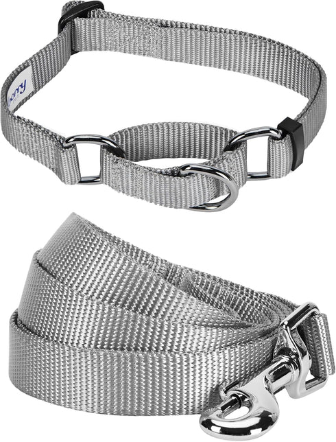 Blueberry Pet Essentials Matching Martingale Dog Collar and Leash Set in Flint Gray, Heavy Duty Nylon Adjustable Collars with 5 ft Leash for Mediu...