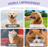 Pet Cleaning Glove Bathing Wipes for Dogs and Cats, Deodorizing No-Rinse Grooming Wipes for Paws, Body, and Butt, Perfect for Pet Dry Cleaning, Da...