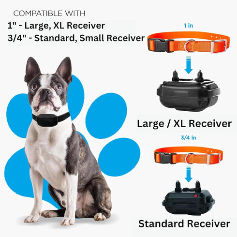 e-Collar Replacement Strap - Shock Collar Replacement Collar, Fence Collar Replacement, Compatible with most Brands (1", Red)...