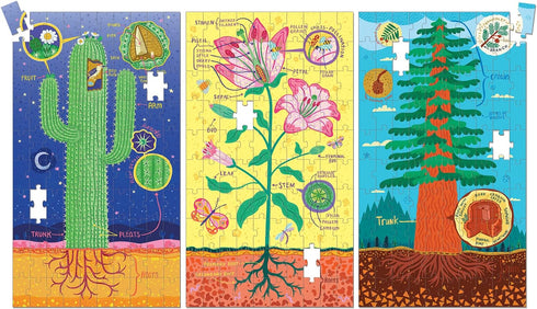 Plant Anatomy Science Puzzle Set from Mudpuppy - Includes Three 100 - Piece Puzzles with Colorful Illustrations, Ages 6+, Trifold Insert with Fun ...