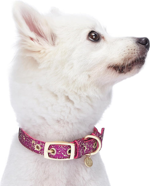 Blueberry Pet 4 Colors Glam Life Gold Stamping Lace Adjustable Dog Collar in Cerise Pink, Neck 7.5-10", for Small Breed...