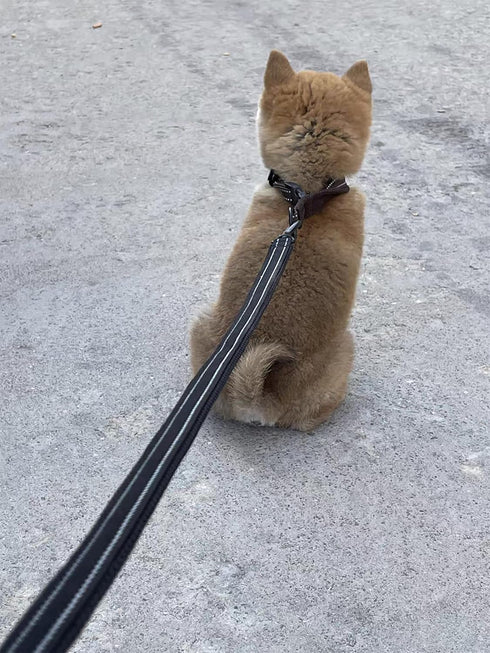 TRUE LOVE Reflective Dog Leash Puppy Walking Lead, Padded Pet Chain Rope?Length 110cm Truelove TLL2111(Black,M)...