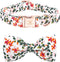 Elegant little tail Dog Collar, Dog Collar with Bowtie, Spring Flower Cute Pink Pet Collar Bow Dog Collars Gift Adjustable Dog Collar for X-Small ...
