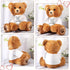 Get Well Soon Bear 16 Inch Bear Stuffed Animals with White T-Shirt Feel Well Soft Bear Plush Hospital Gifts for Boy and Girl (Classic Style)...