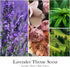 Scented Candles for Home - Lavender & Thyme Scented Candle | Aromatherapy Candles, Soy Candles for Home Scented, 7oz Amber Jar Candles Gift for Wo...